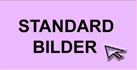 Bewerbung/B15.jpg
